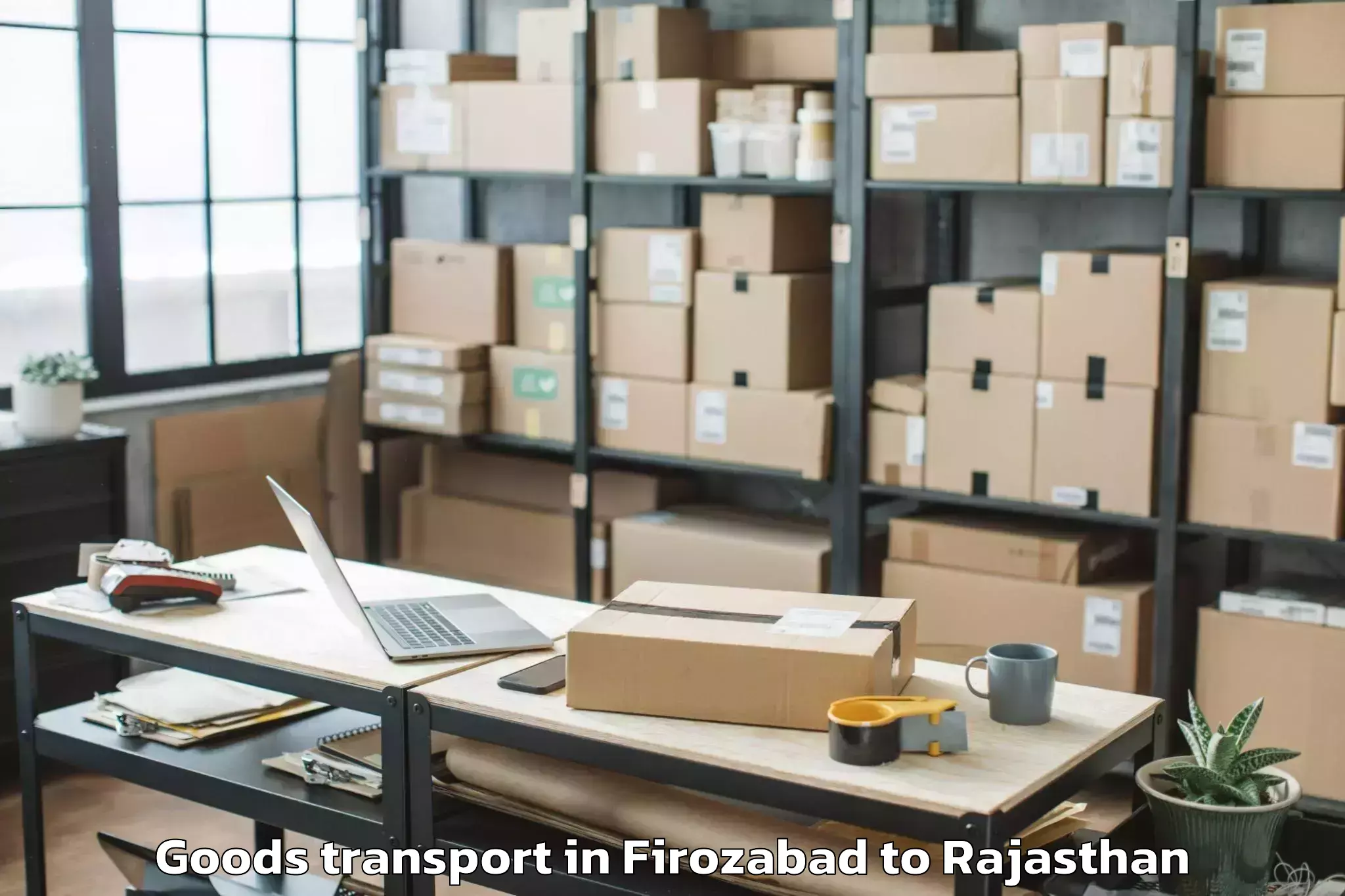 Professional Firozabad to Viratnagar Goods Transport